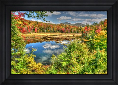 Framed Adirondack Pond Print