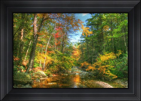 Framed Autumn Brook Print
