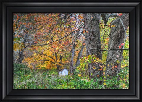 Framed Autumn Shed Print