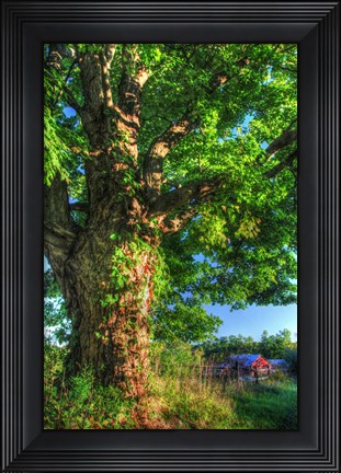 Framed Butterville Road Vertical Print