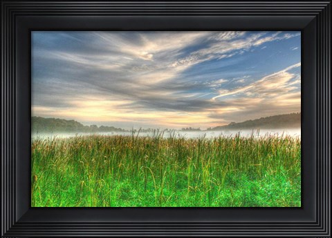 Framed Cattails And Sky Print