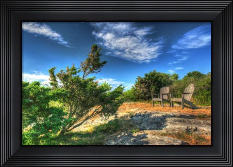 Framed Chairs And Windblown Tree Print