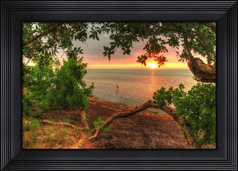 Framed Dawn Egret Print