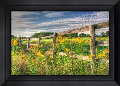Framed Denniston Lane Fence Print