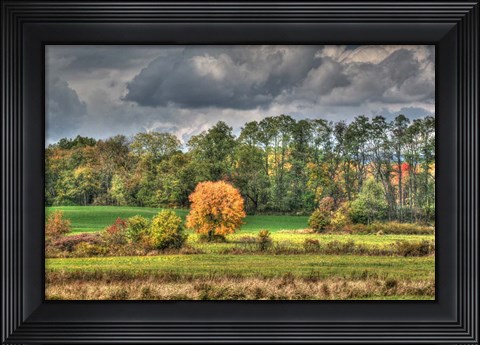 Framed Drak Sky Shiningtree Print