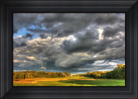 Framed Front Forty Print