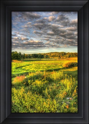 Framed Garden Views Print