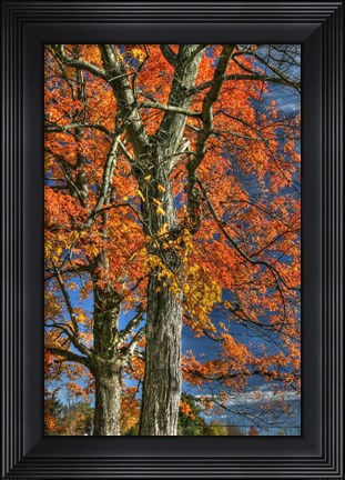Framed Grandparent Trees Print