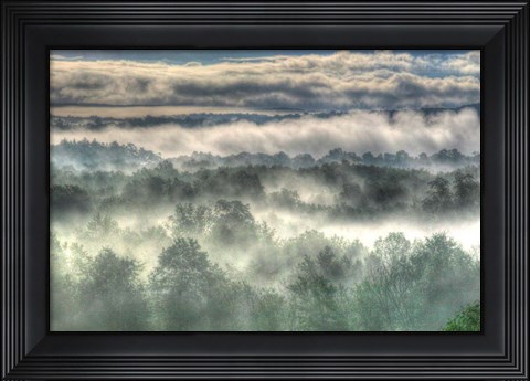 Framed Gray Mist Print
