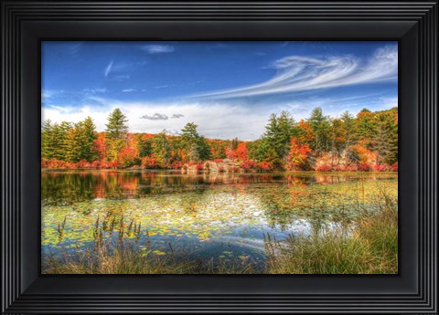 Framed Harriman Pond Print