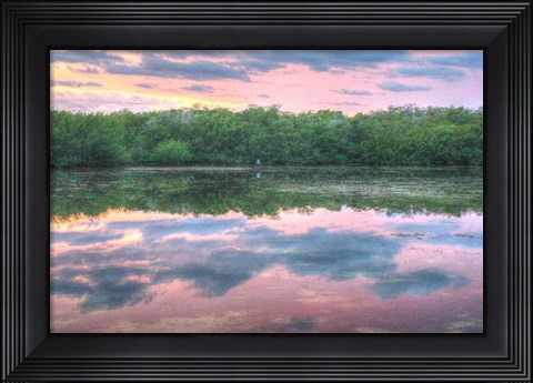 Framed Heron And Mangroves Print