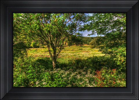 Framed Hobart Meadow Print