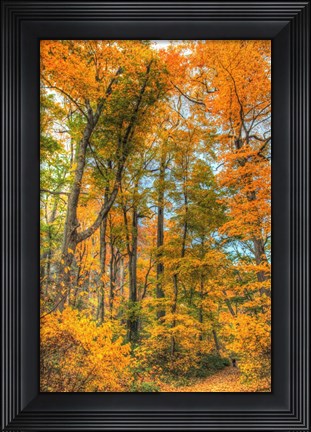 Framed Inwood Park Vertical Print