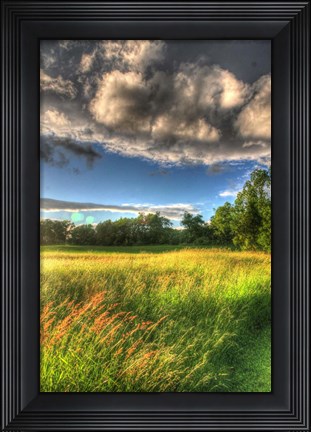 Framed Late Afternoon Field Print
