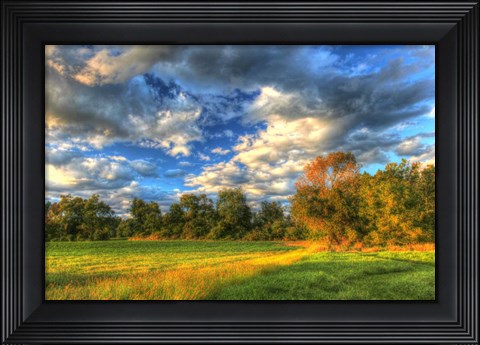 Framed Late Summer Light Print