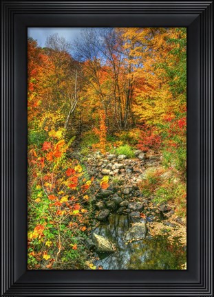 Framed Low Water Brook Autumn Print