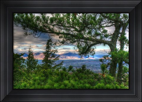 Framed Mountain Views Print