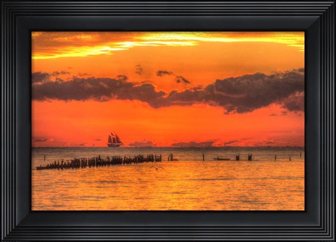Framed Old Pier And Gull After Sunset Print
