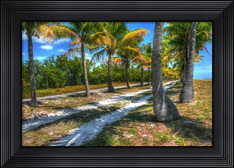 Framed Palm Road Print