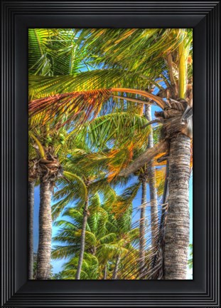 Framed Palms Vertical Print