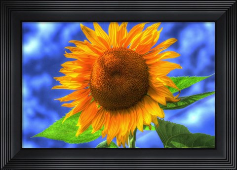 Framed Singular Beauty Print