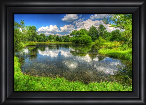 Framed Summer Pond Print