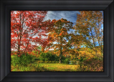 Framed Tillson Lake Trees Print