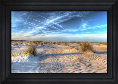 Framed Two Color Florida Sand Print
