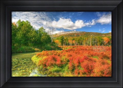 Framed Whitecliffs Print