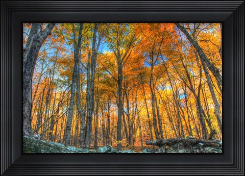 Framed Winding Hills Park Print
