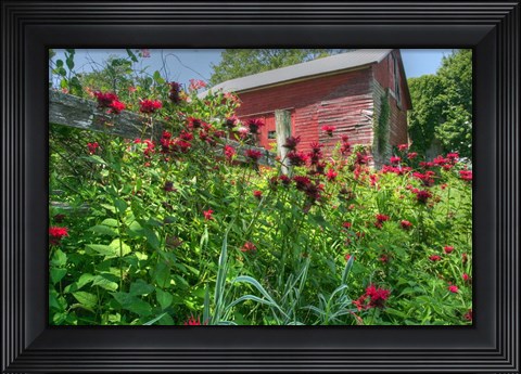Framed Barn And Minarda 1 Print