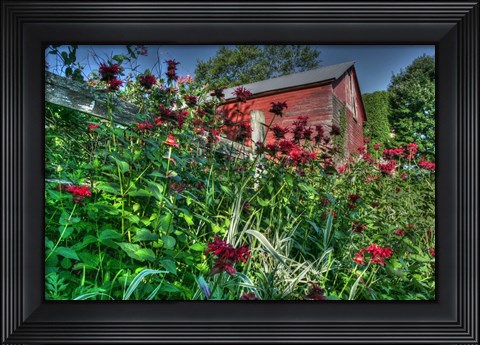 Framed Barn And Minarda 3 Print