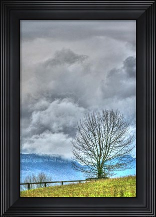 Framed BC Bare Tree Vertical Print