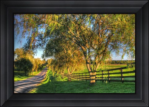 Framed BC Willow Road Print