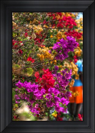 Framed Bougenvillia Vertical Print