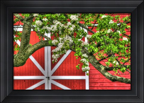 Framed Butterville Barn Print