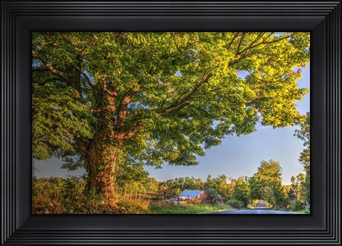 Framed Butterville Road Print