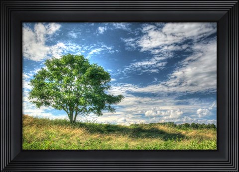 Framed Cornwall Tree Print