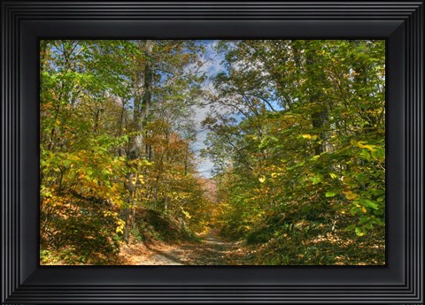 Framed Dirt Road Passage Print