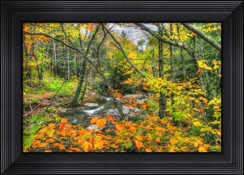 Framed Fall Brook Orange Fo Print