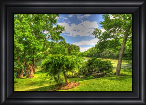 Framed Formal Garden Trees Print