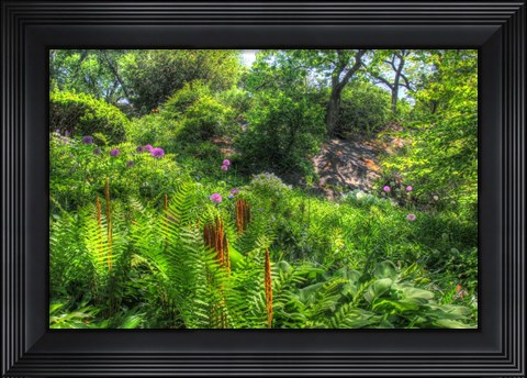 Framed Garden Hillside Print