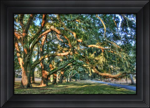 Framed Jeckel Island Treeline Print