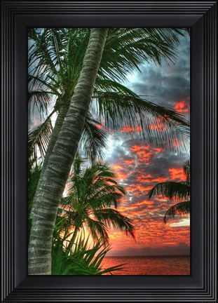 Framed Key West Palm Sunrise Vertical Print