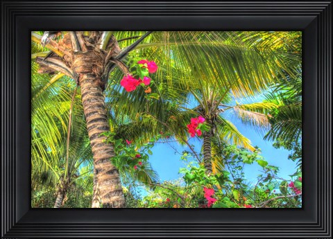 Framed Key West Pink Flowers Palm Print