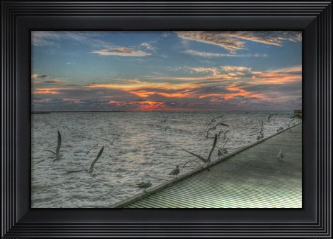 Framed Key West Sunrise Gulls and Pier Print