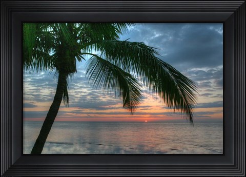 Framed Key West Sunrise One Palm Print