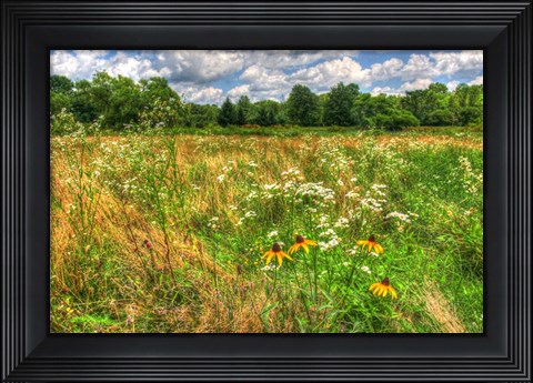 Framed Late Summer Meadow Print