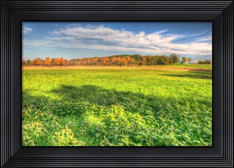 Framed Meadow Early Autumn Print