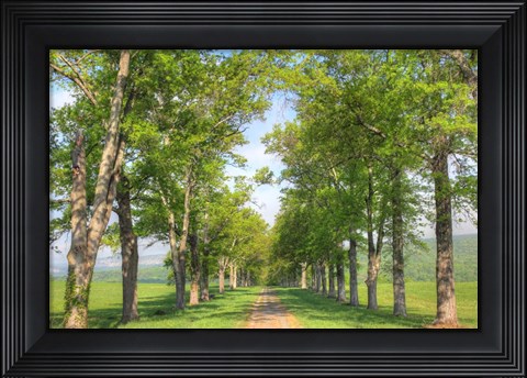 Framed Mohonk I Print